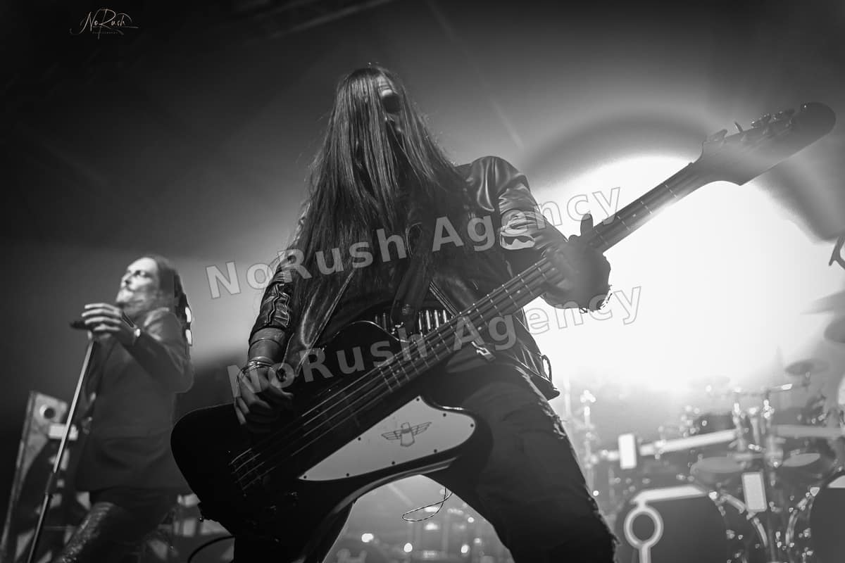 Florian Grey live in Dresden, Foto 7 von Stephan Sieger