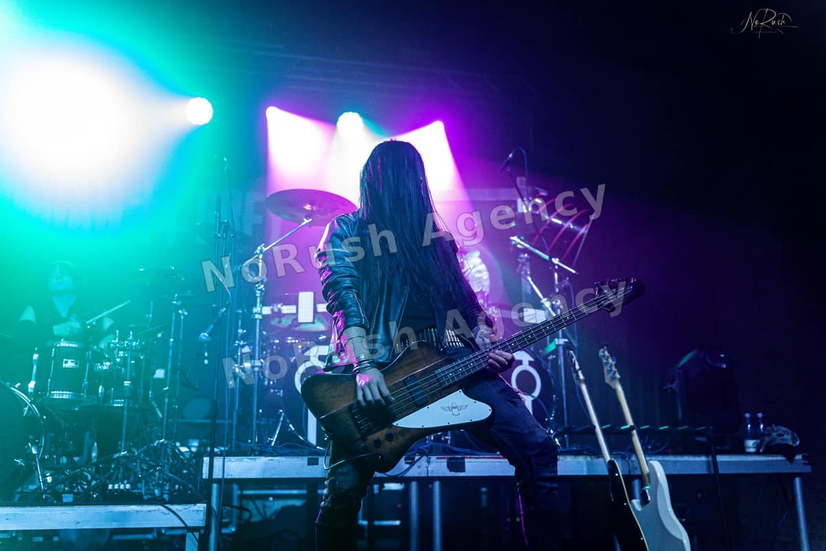 Florian Grey live in Dresden, Foto 9 von Stephan Sieger