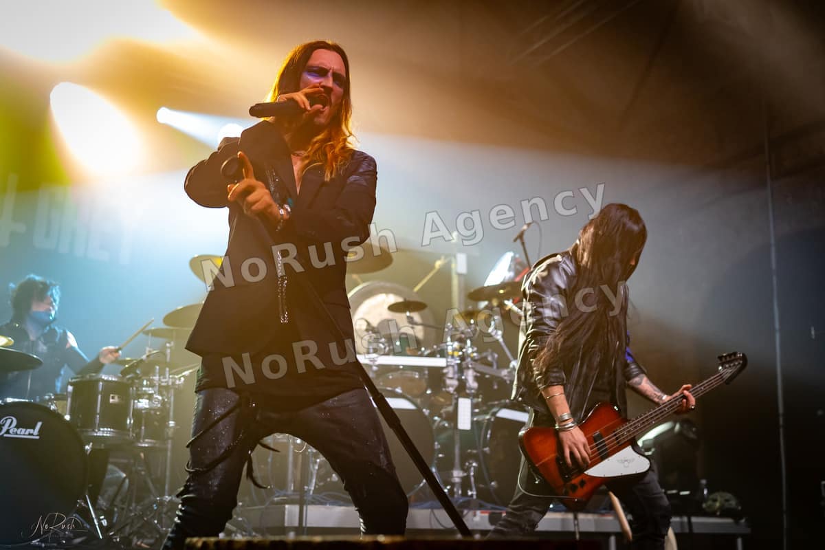 Florian Grey live in Dresden, Foto 17 von Stephan Sieger