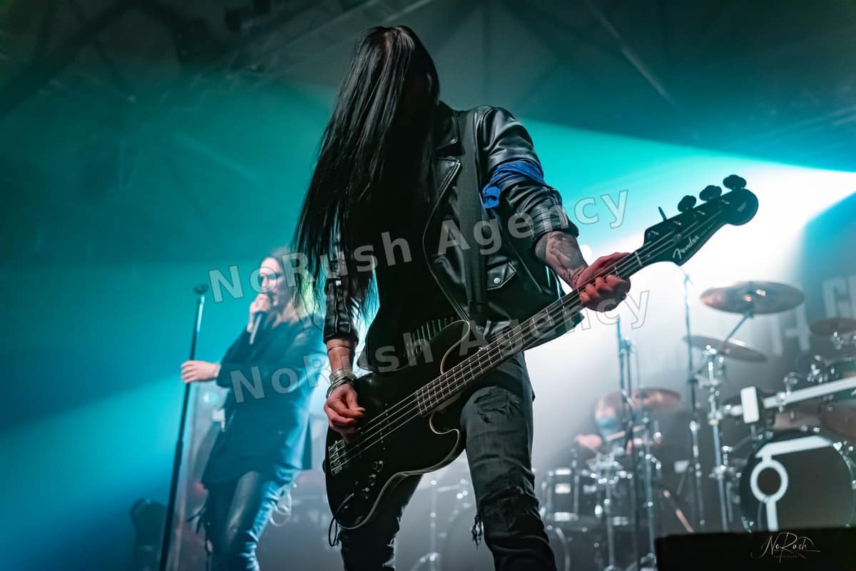 Florian Grey live in Dresden, Foto 25 von Stephan Sieger