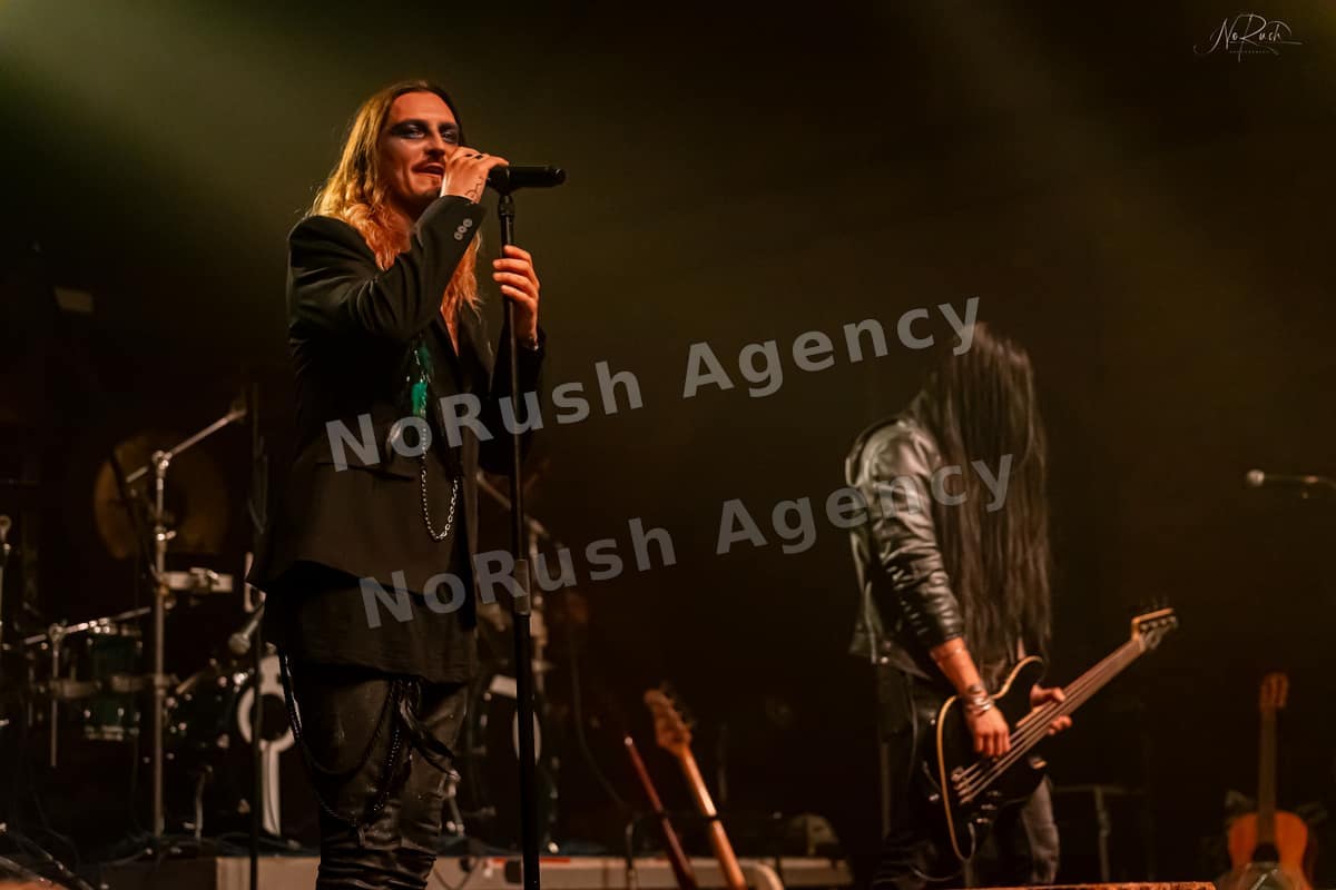 Florian Grey live in Dresden, Foto 40 von Stephan Sieger