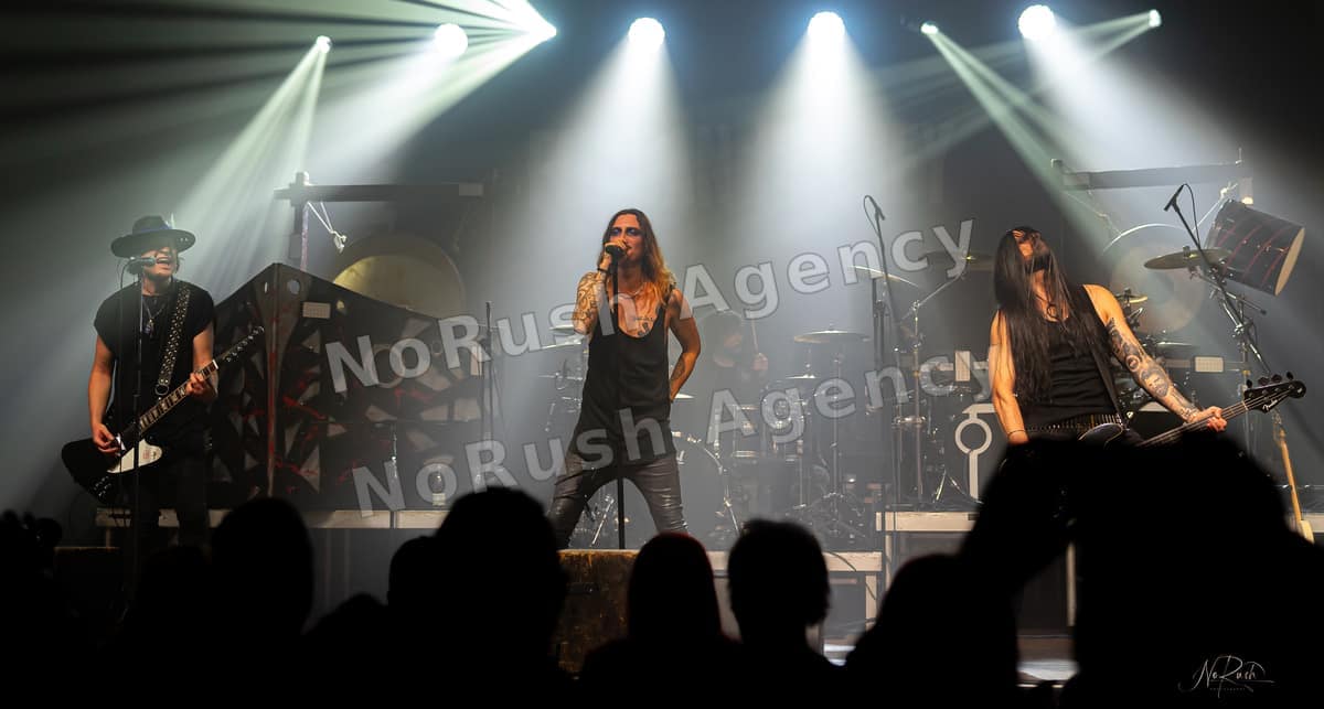 Florian Grey live in Dresden, Foto 53 von Stephan Sieger