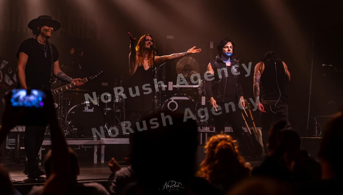 Florian Grey live in Dresden, Foto 65 von Stephan Sieger