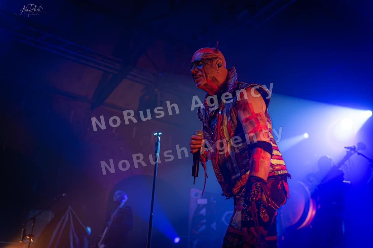 Tanzwut live in Dresden, Foto 17 von Stephan Sieger