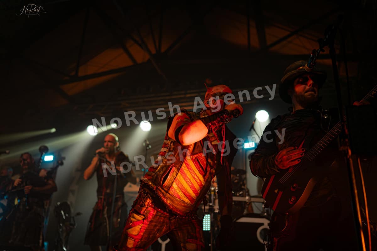 Tanzwut live in Dresden, Foto 23 von Stephan Sieger