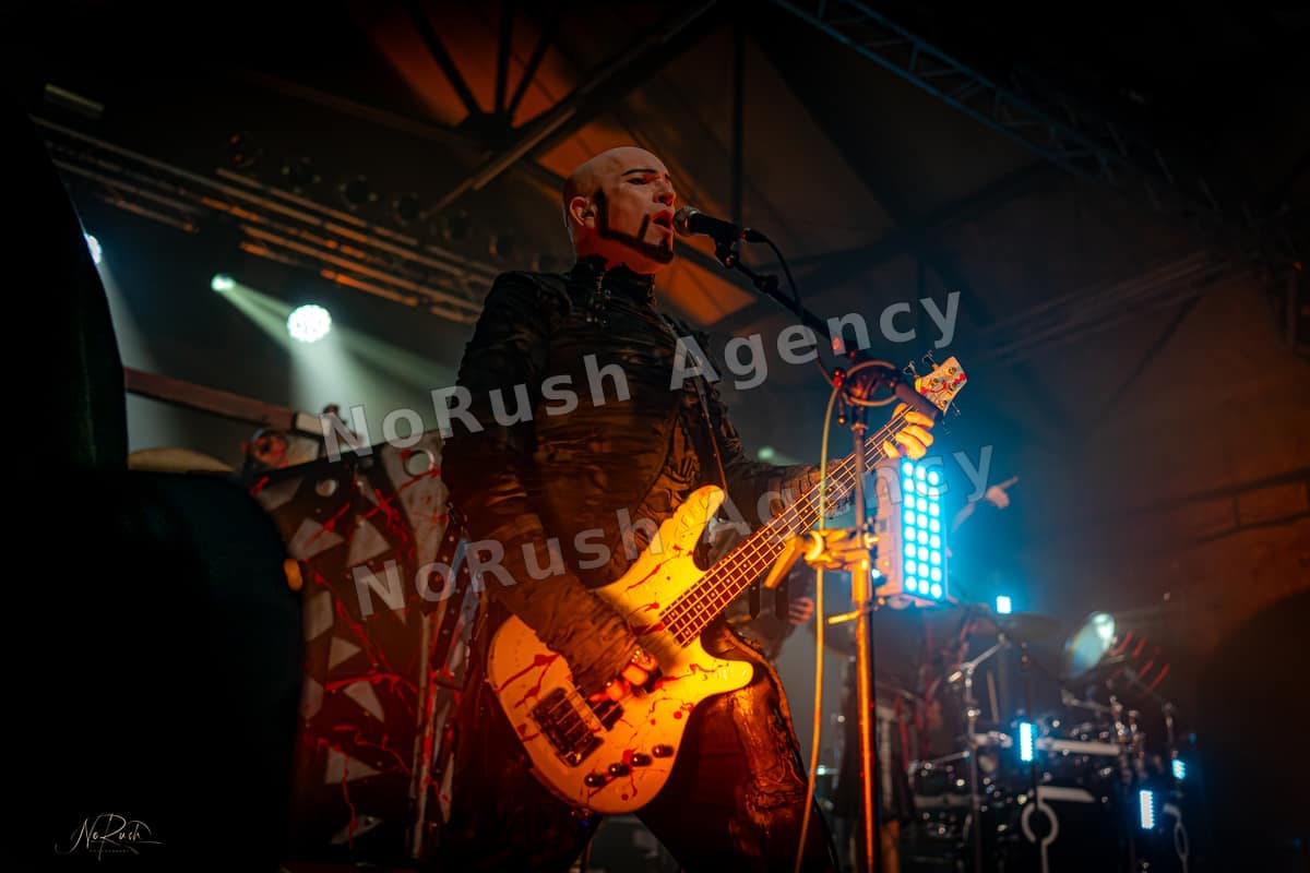 Tanzwut live in Dresden, Foto 27 von Stephan Sieger