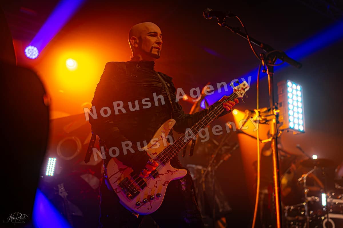 Tanzwut live in Dresden, Foto 29 von Stephan Sieger
