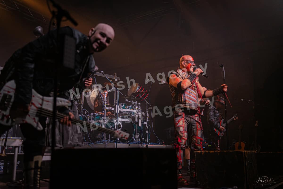 Tanzwut live in Dresden, Foto 38 von Stephan Sieger
