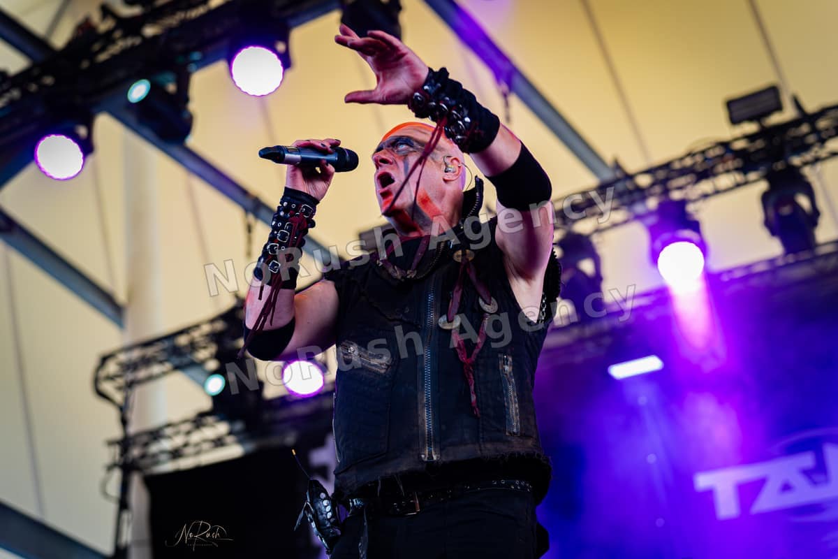 Tanzwut live in Gelsenkirchen, Foto 22 von Stephan Sieger
