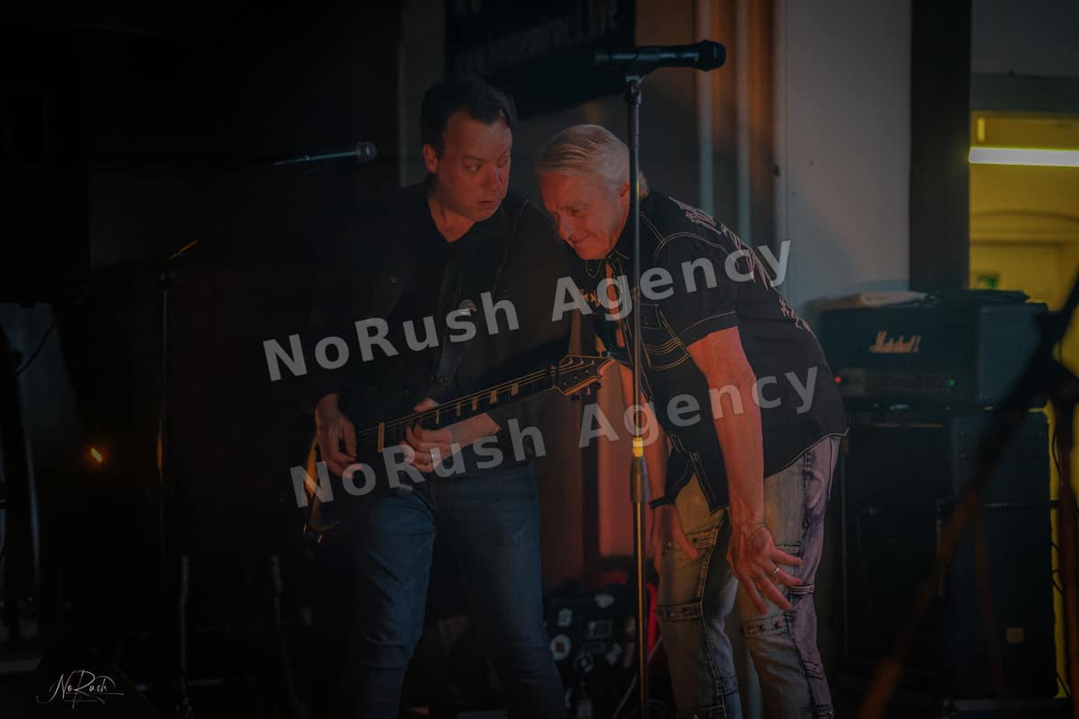 FM live in Dessau-Roßlau, Foto 5 von Stephan Sieger