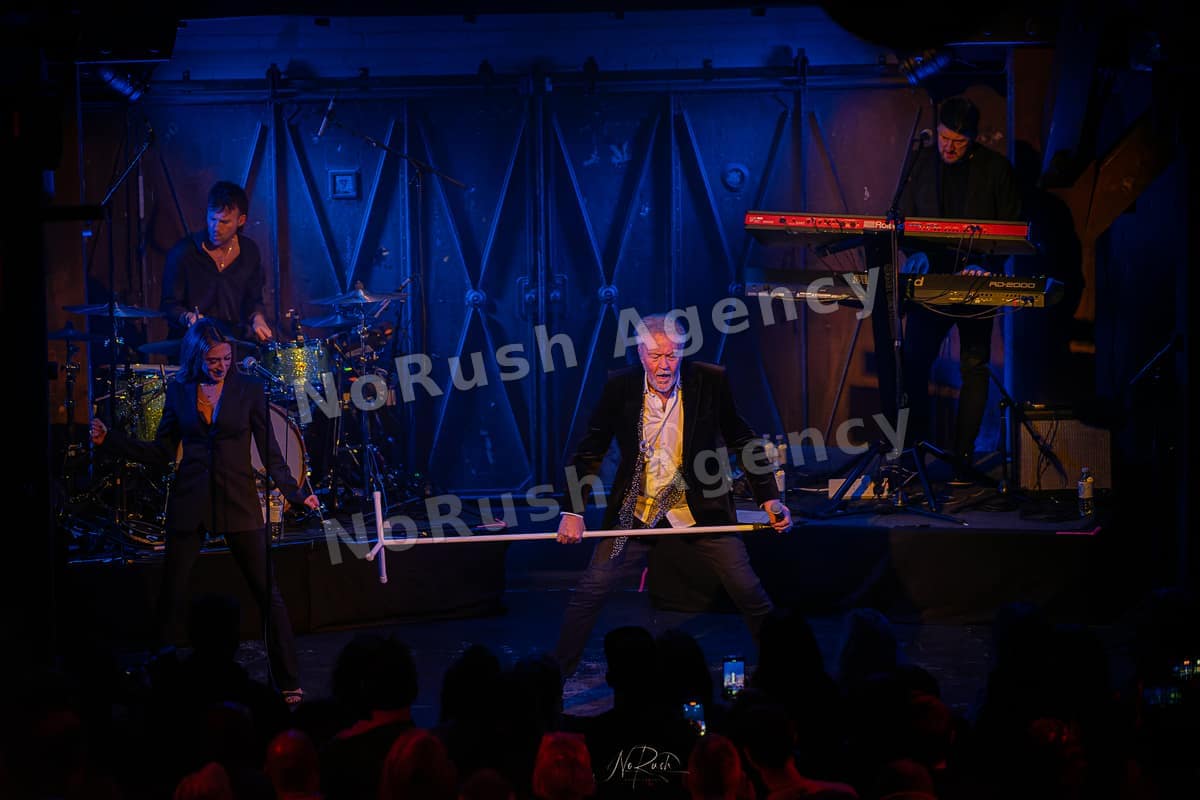 Paul Young live in Hamburg, Foto 4 von Stephan Sieger