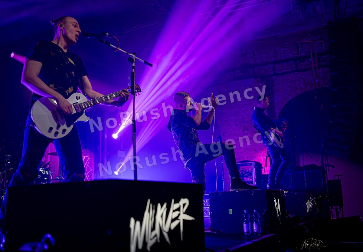 Existent live in Dresden, Foto 7 von Stephan Sieger