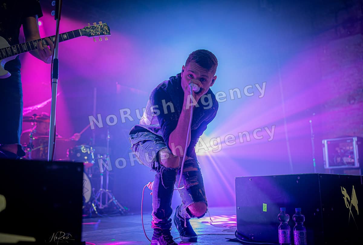Existent live in Dresden, Foto 8 von Stephan Sieger