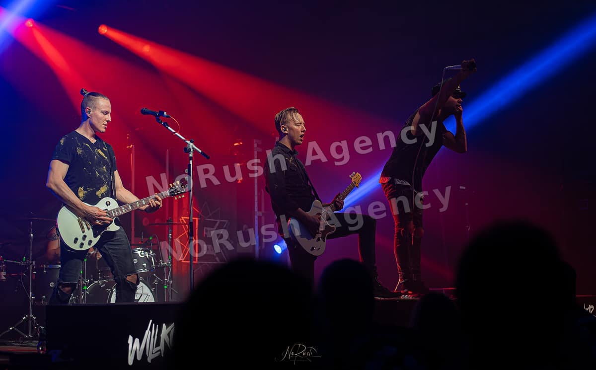 Existent live in Dresden, Foto 27 von Stephan Sieger