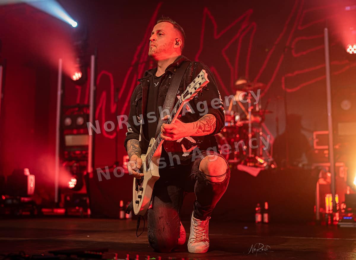 Willkuer live in Dresden, Foto 16 von Stephan Sieger