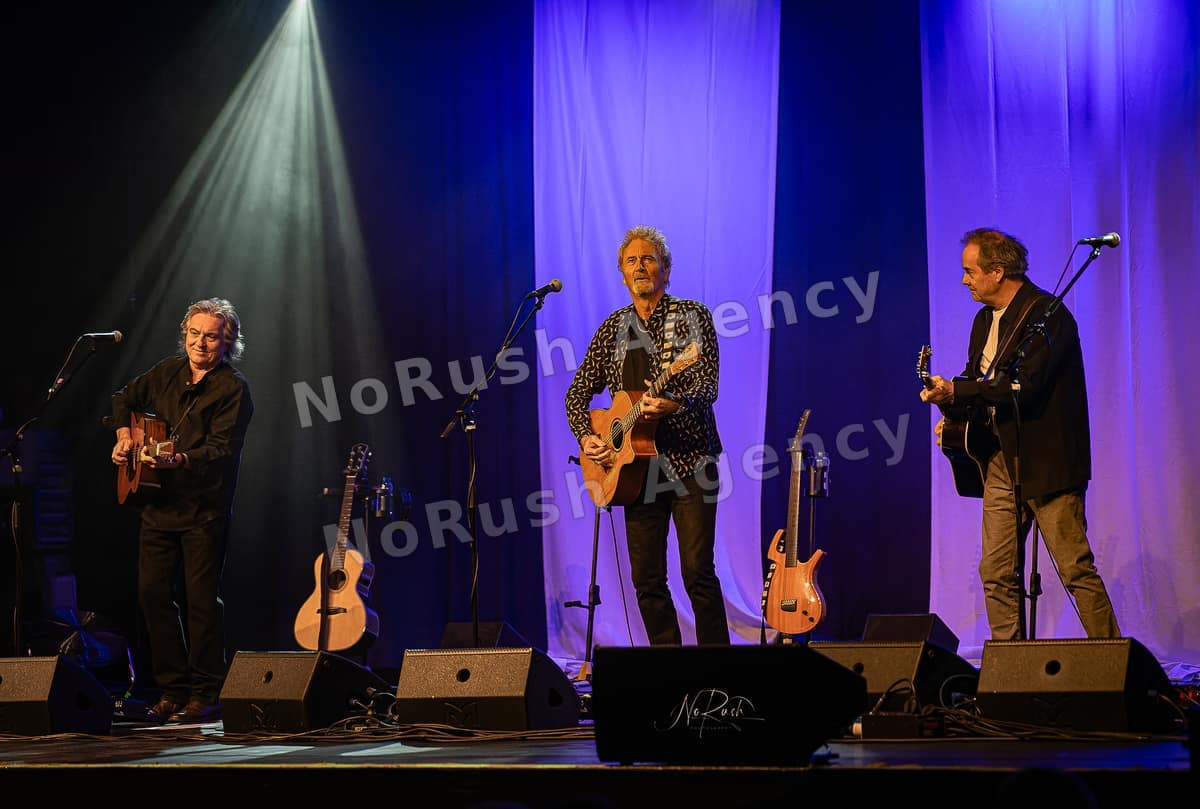 Frontm3n live in Dresden, Foto 4 von Stephan Sieger
