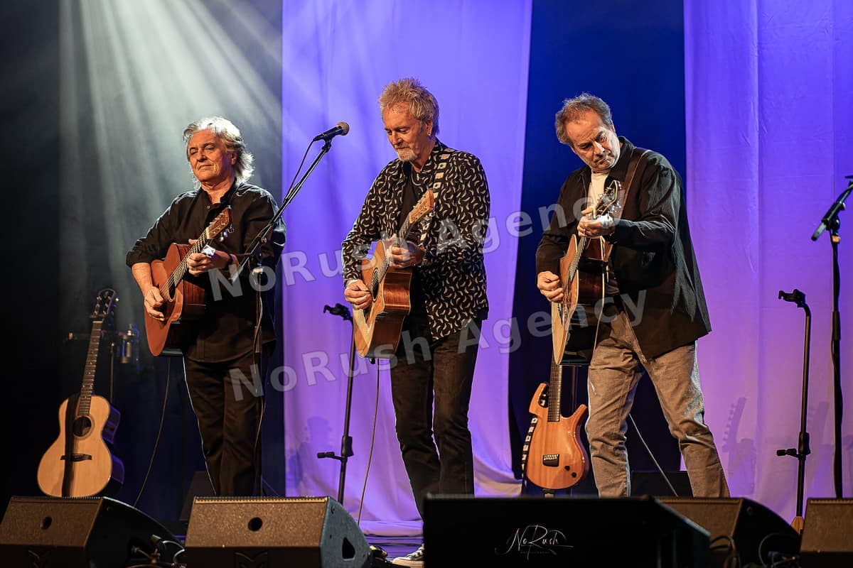 Frontm3n live in Dresden, Foto 10 von Stephan Sieger
