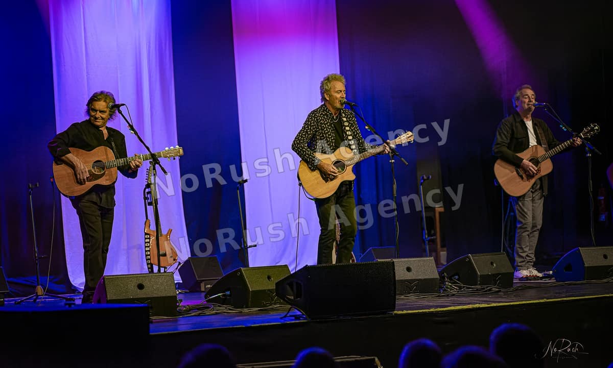 Frontm3n live in Dresden, Foto 12 von Stephan Sieger