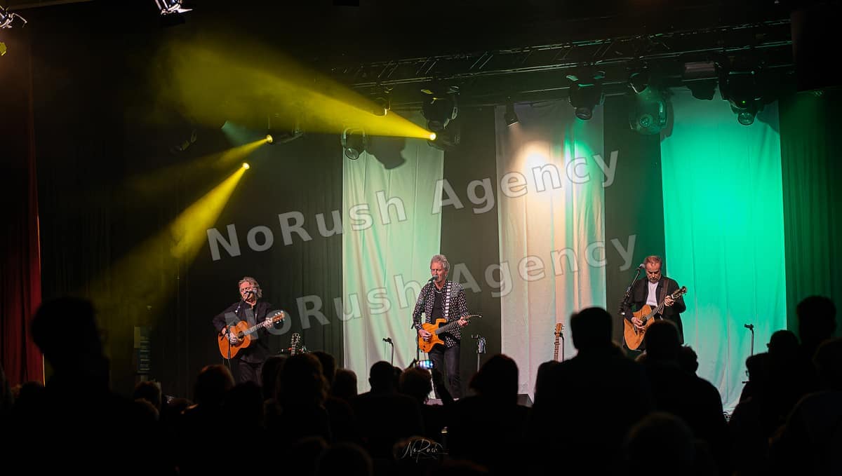 Frontm3n live in Dresden, Foto 19 von Stephan Sieger