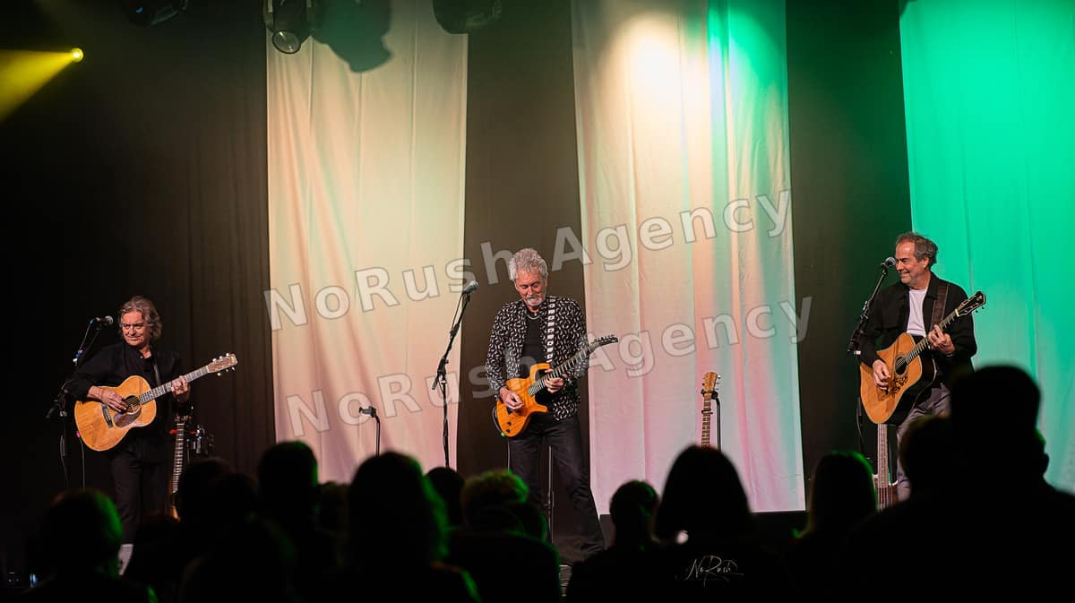 Frontm3n live in Dresden, Foto 21 von Stephan Sieger