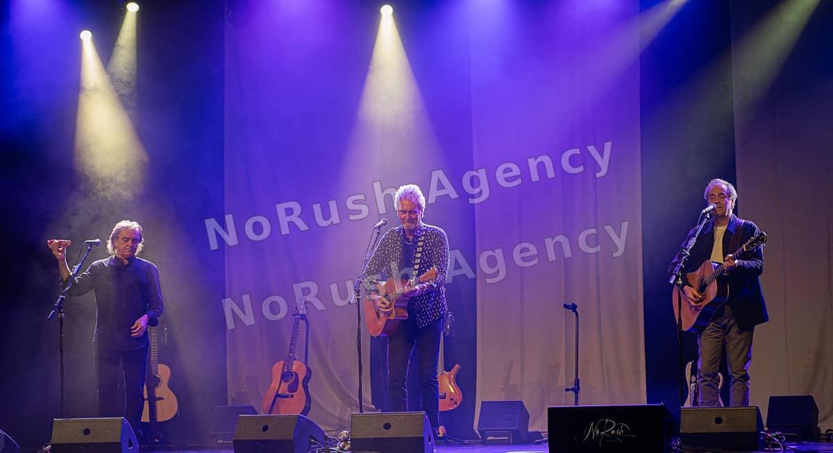 Frontm3n live in Dresden, Foto 26 von Stephan Sieger