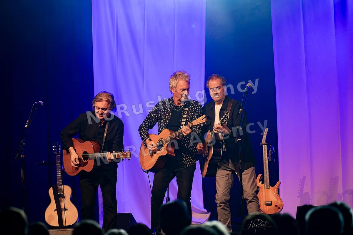 Frontm3n live in Dresden, Foto 31 von Stephan Sieger