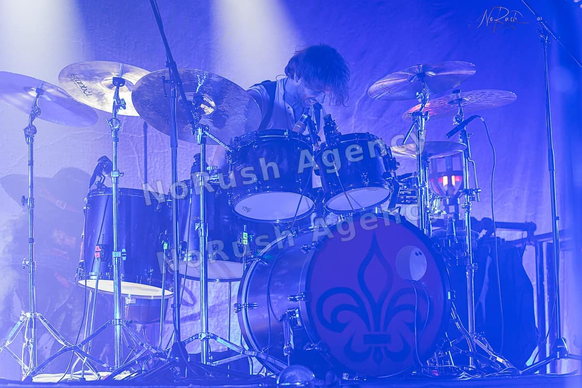 D´Artagnan live in Hamburg, Foto 4 von Stephan Sieger