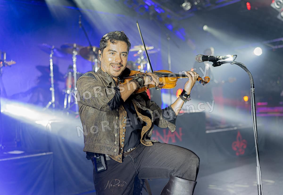 D´Artagnan live in Hamburg, Foto 8 von Stephan Sieger
