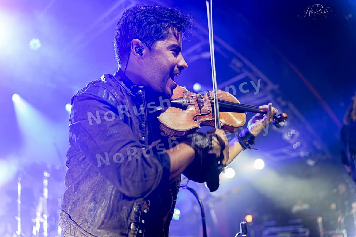 D´Artagnan live in Hamburg, Foto 12 von Stephan Sieger