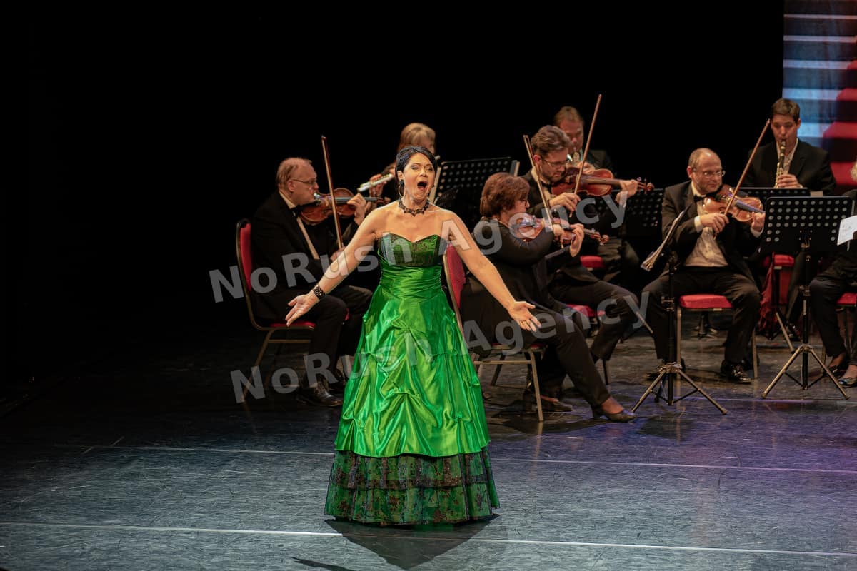 Die große Nacht der Operette live in Bautzen, Foto 7 von Stephan Sieger