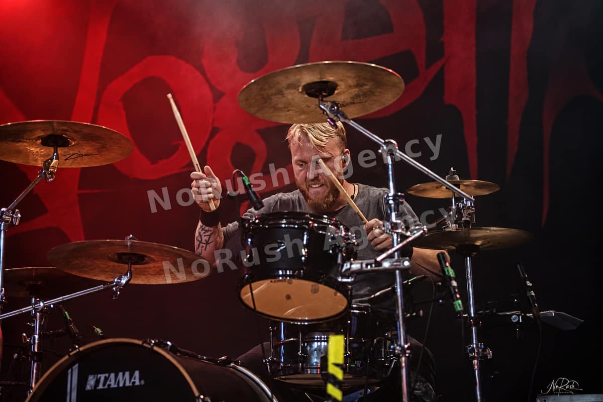 Vogelfrey live in Leipzig, Foto 30 von Stephan Sieger