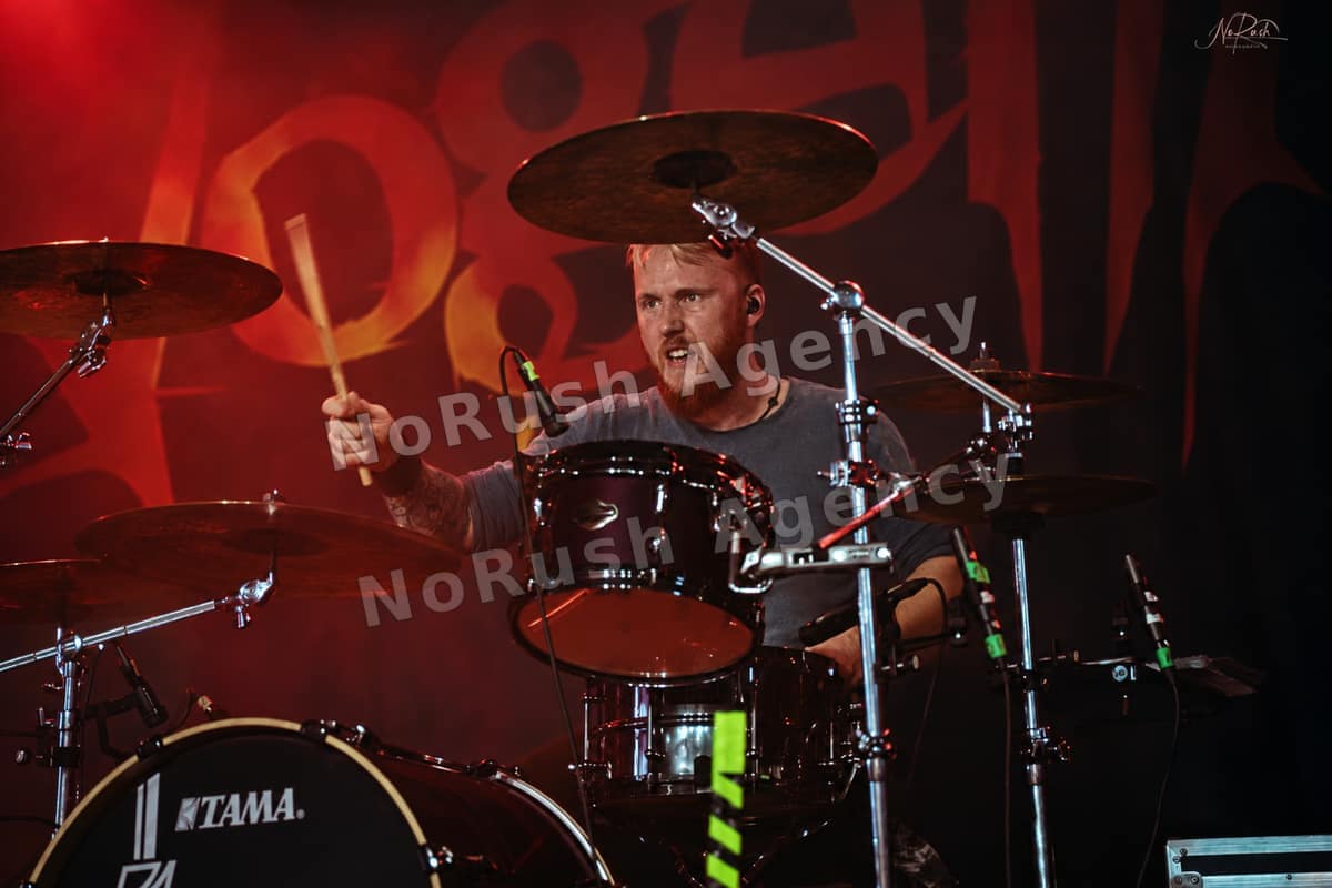 Vogelfrey live in Leipzig, Foto 32 von Stephan Sieger