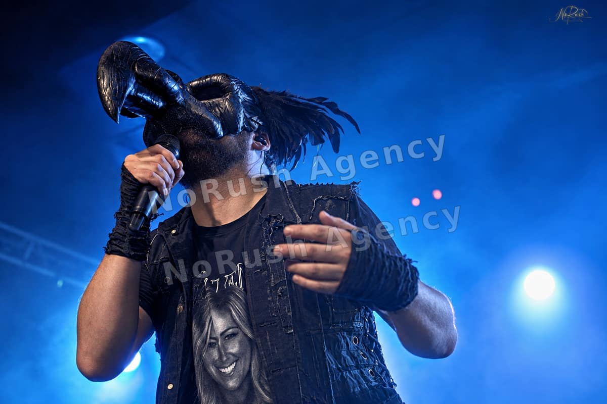 Harpyie live in Leipzig, Foto 2 von Stephan Sieger