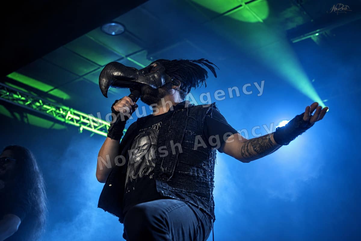 Harpyie live in Leipzig, Foto 3 von Stephan Sieger