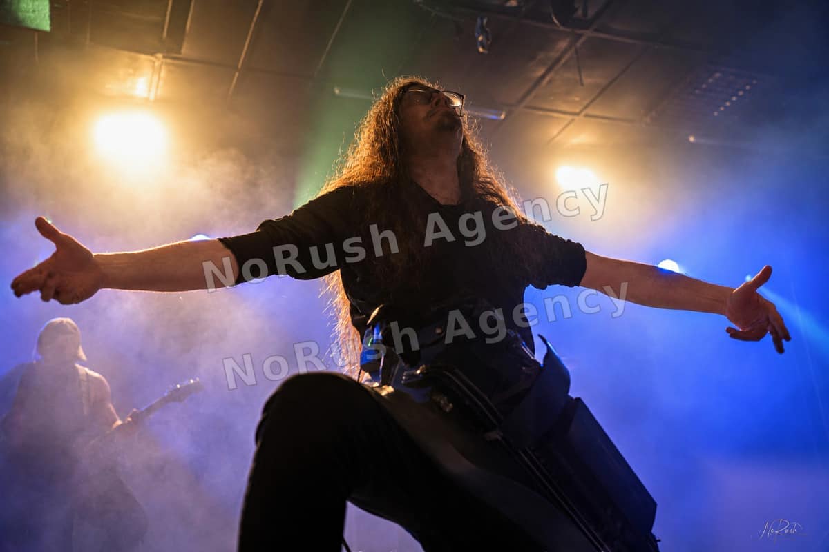 Harpyie live in Leipzig, Foto 4 von Stephan Sieger