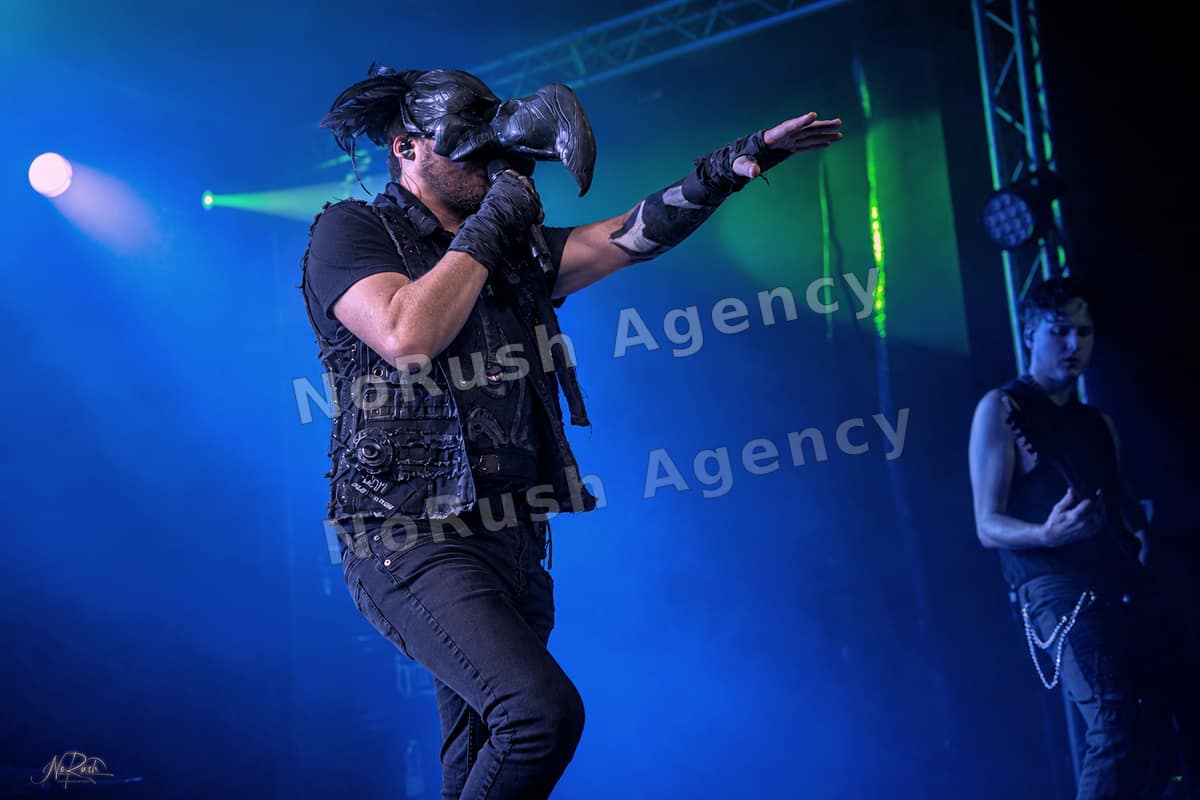 Harpyie live in Leipzig, Foto 5 von Stephan Sieger