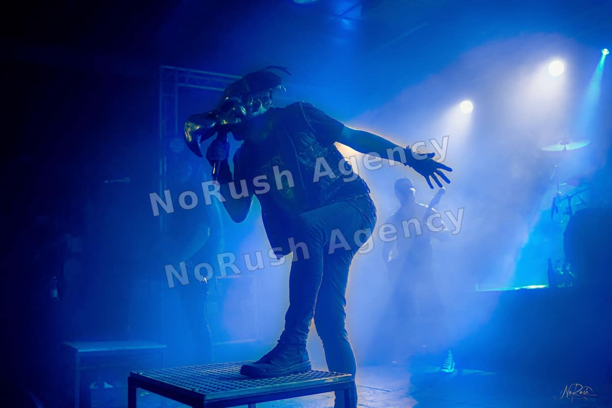 Harpyie live in Leipzig, Foto 6 von Stephan Sieger