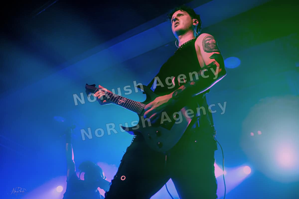 Harpyie live in Leipzig, Foto 7 von Stephan Sieger