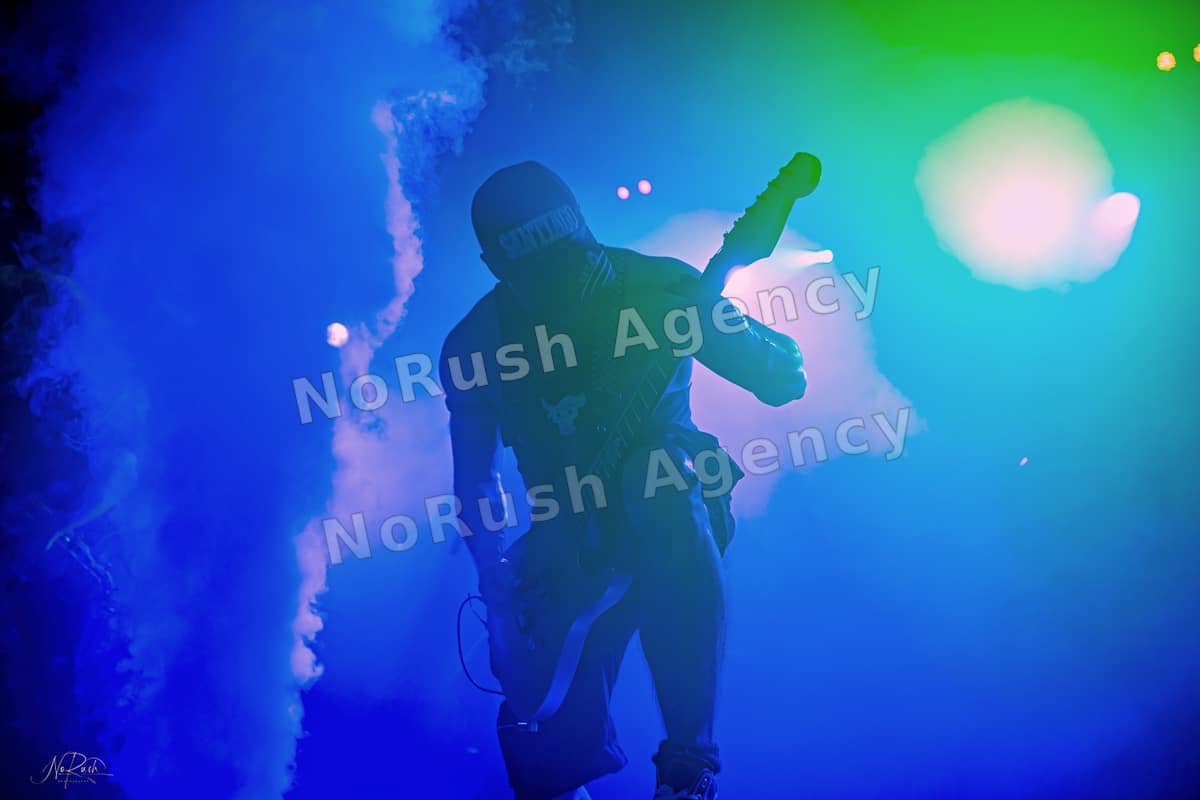 Harpyie live in Leipzig, Foto 9 von Stephan Sieger