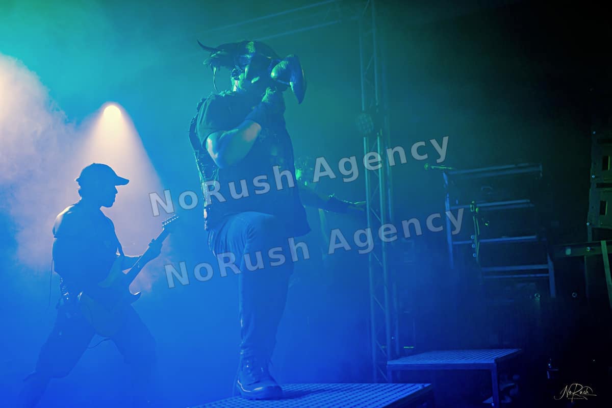 Harpyie live in Leipzig, Foto 12 von Stephan Sieger