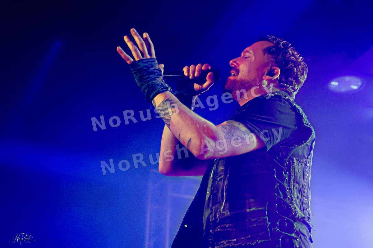 Harpyie live in Leipzig, Foto 14 von Stephan Sieger