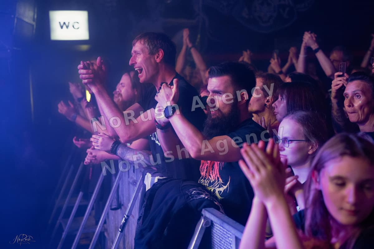Harpyie live in Leipzig, Foto 15 von Stephan Sieger