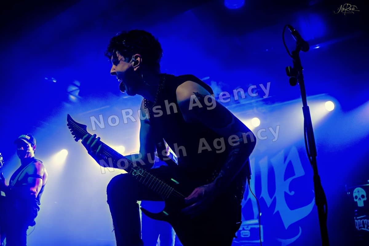 Harpyie live in Leipzig, Foto 28 von Stephan Sieger