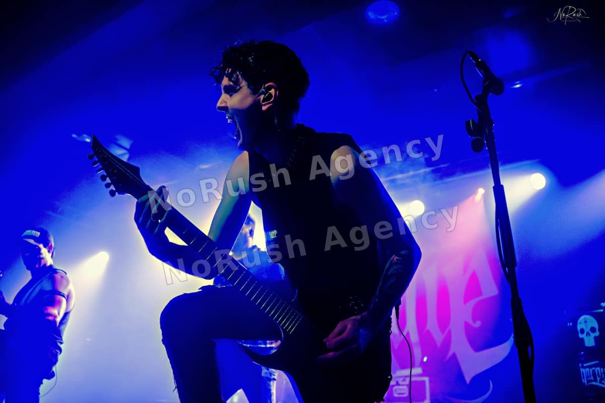 Harpyie live in Leipzig, Foto 29 von Stephan Sieger