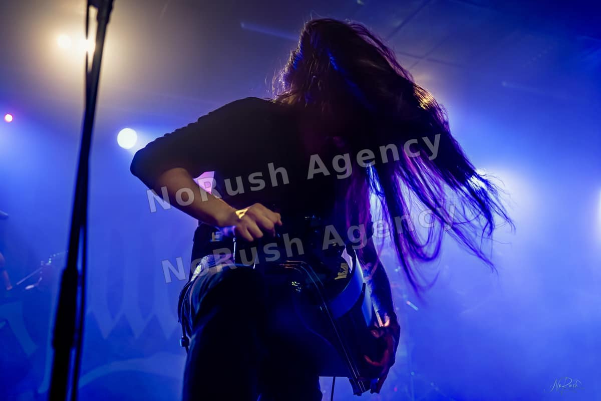 Harpyie live in Leipzig, Foto 33 von Stephan Sieger