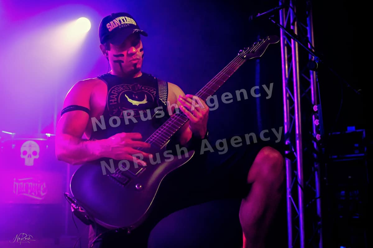 Harpyie live in Leipzig, Foto 35 von Stephan Sieger