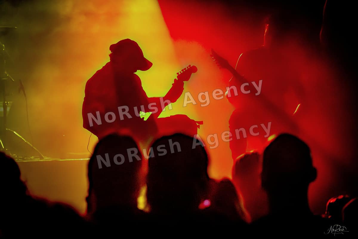 Harpyie live in Leipzig, Foto 42 von Stephan Sieger