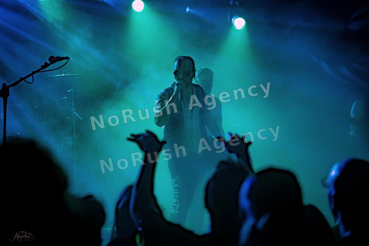 Harpyie live in Leipzig, Foto 55 von Stephan Sieger
