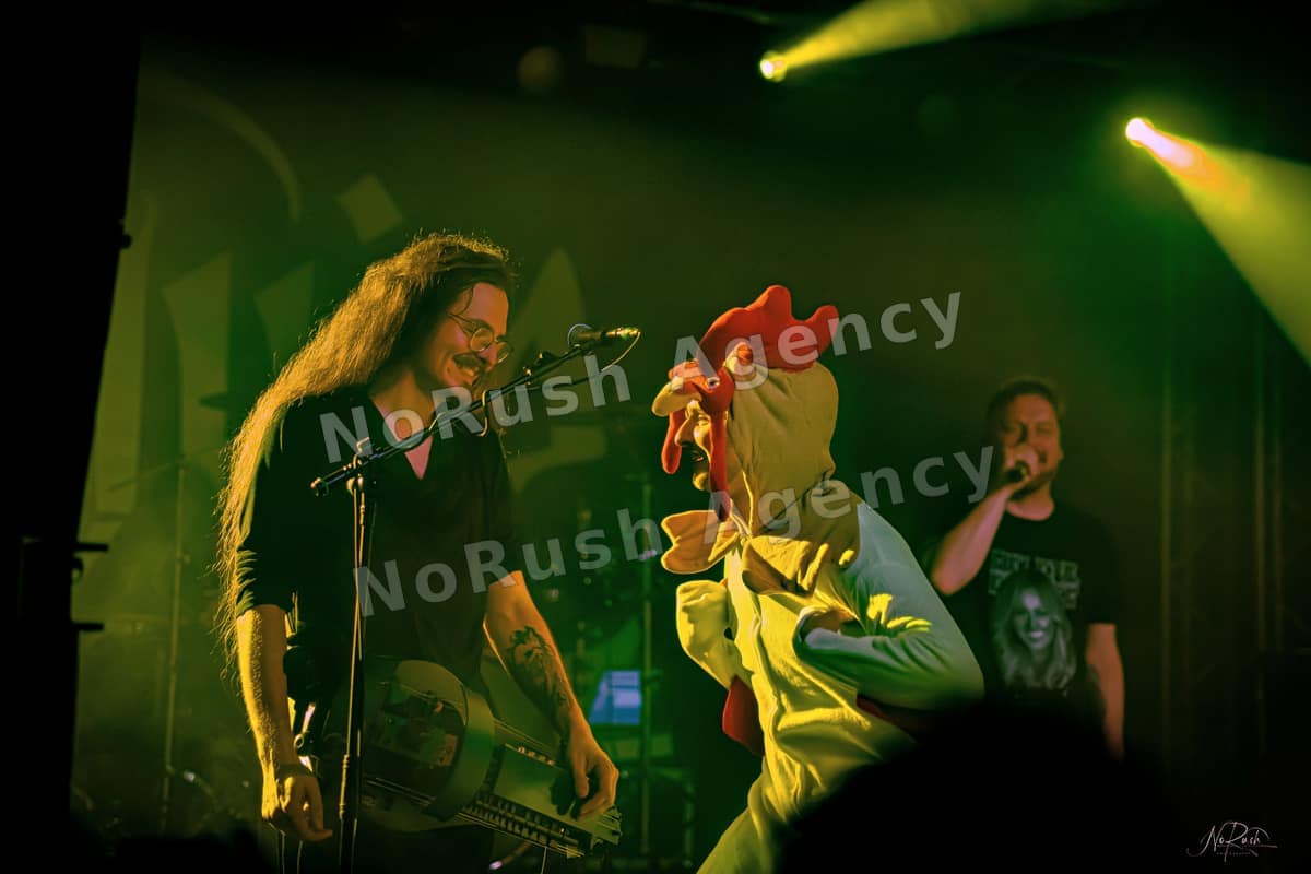 Harpyie live in Leipzig, Foto 61 von Stephan Sieger