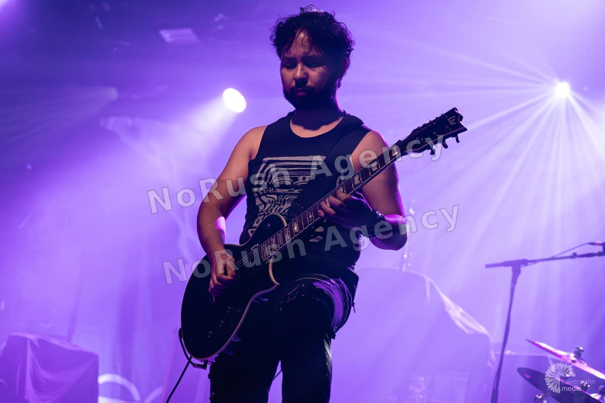 Schöngeist live in Köln, Foto 9 von Jan Haller